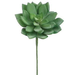 10.5" Echeveria Artificial Bouquet Stem Pick -Green/Gray (pack of 24)