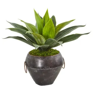 15" Agave Succulent Artificial Plant in Decorative Planter