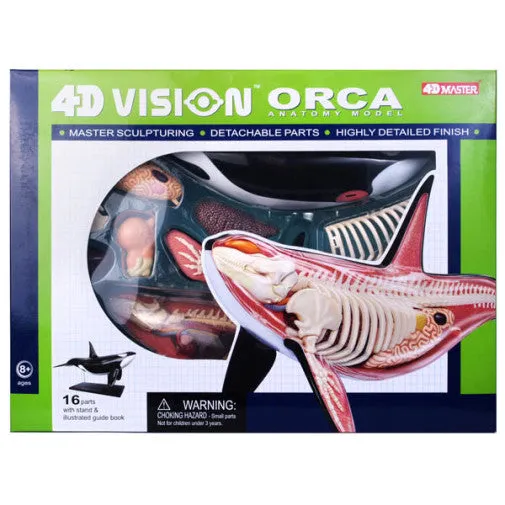 4D Vision Orca Model