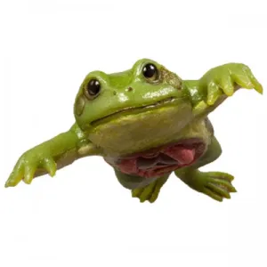 Frog Model