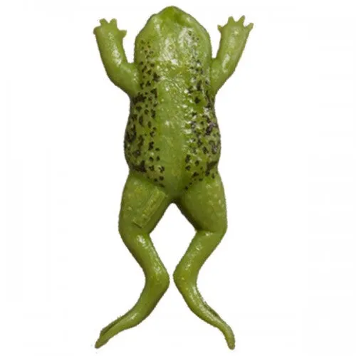 Frog Model