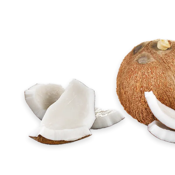 Trueflavor Toasted Coconut